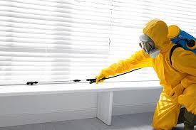 Professional Pest Control in Westbrook, ME